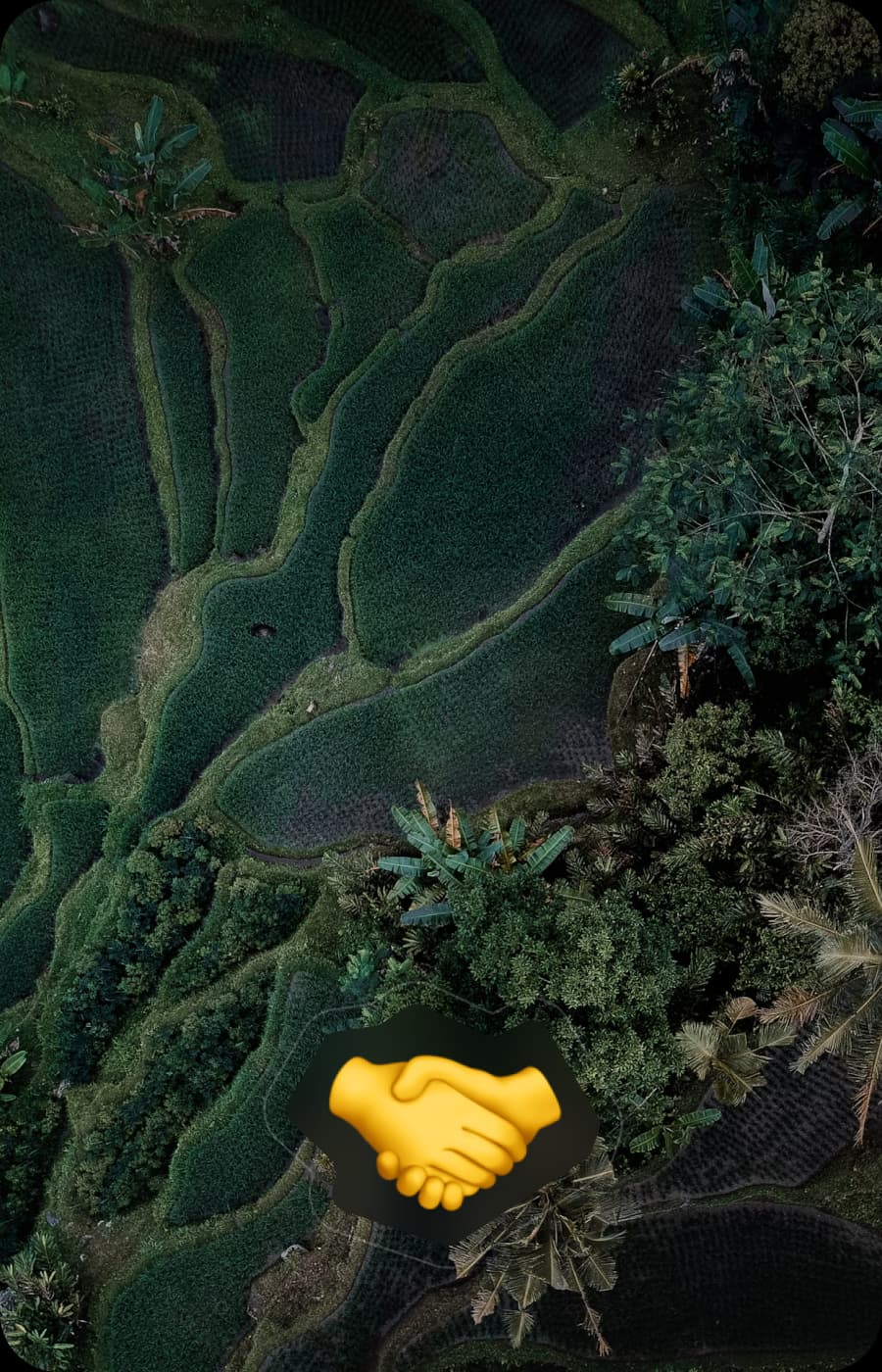 Two hands shaking in front of lush green terraced fields.