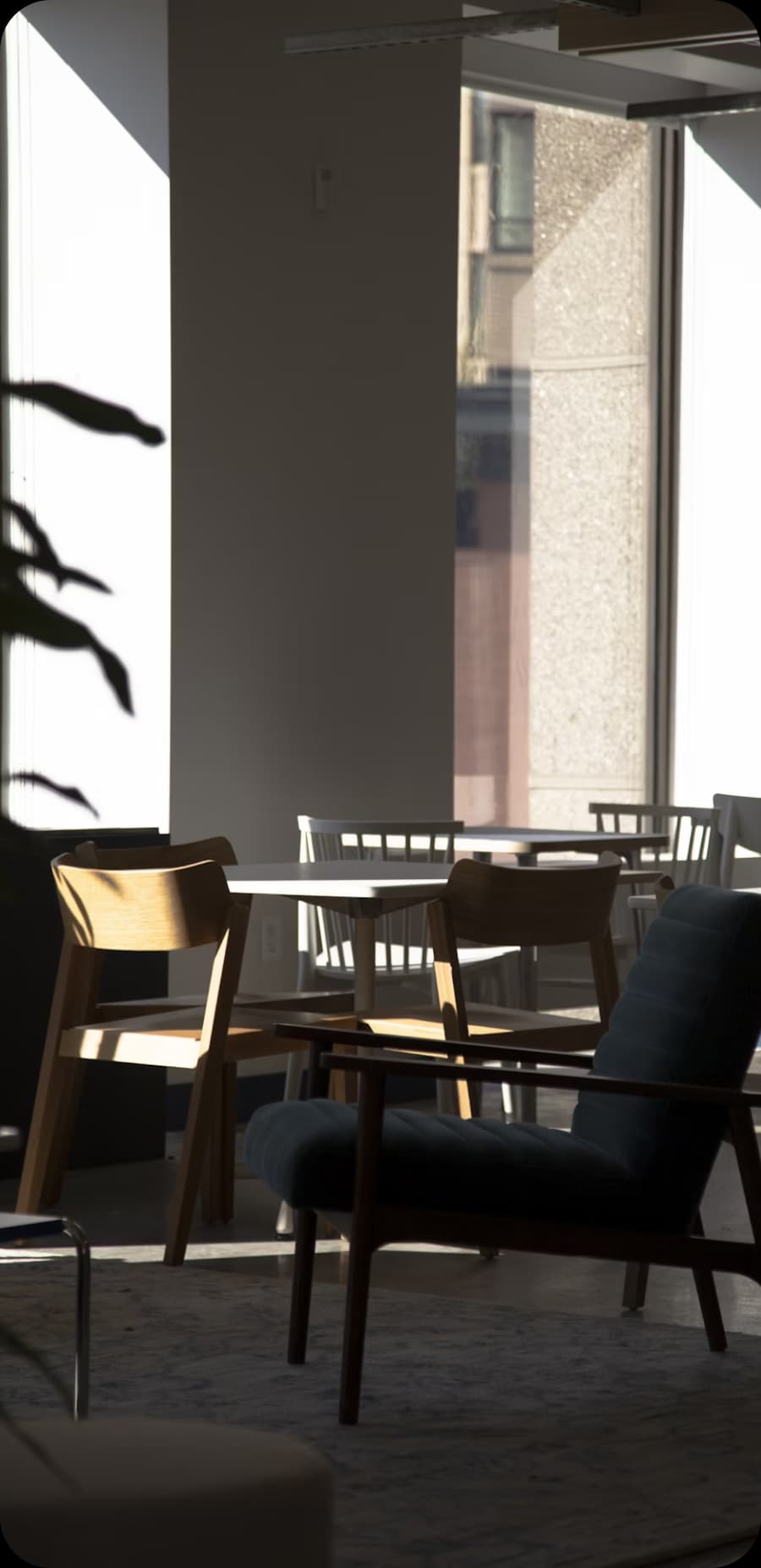 Modern chairs and tables bathed in sunlight in a contemporary office space.